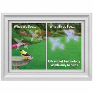 Hummingbird WindowAlert Decals, set of 4, featuring a bird on a bird bath, designed to prevent bird-window collisions with UV-reflective coating.