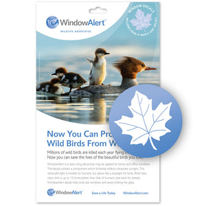 Maple Leaf WindowAlert Decals, set of 4, featuring a static cling design to prevent birds from striking windows by reflecting ultraviolet sunlight.