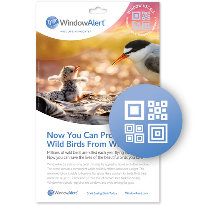 Modern WindowAlert Decals package, featuring bird images and text, designed to prevent bird-window collisions with UV reflection technology. Set includes four static cling decals.