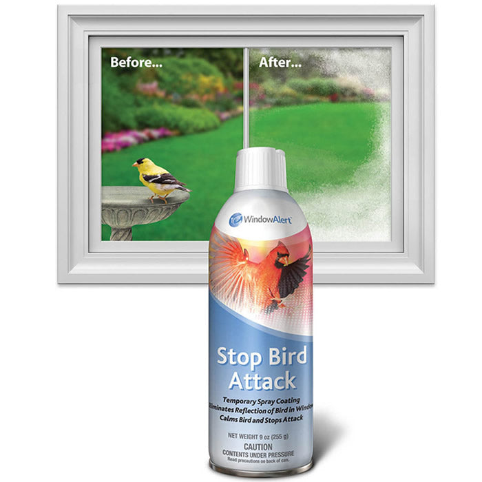 Stop Bird Attack Window Spray next to a window, designed to prevent birds from attacking their reflections.