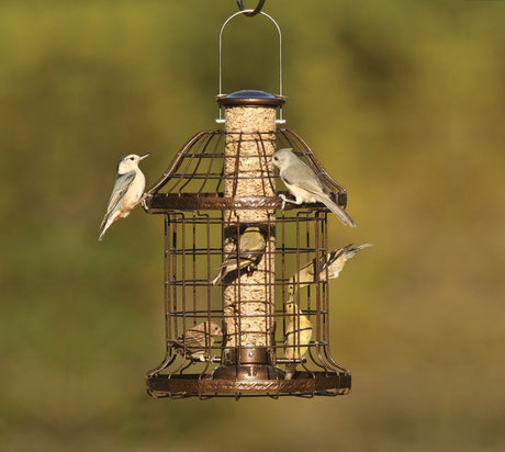 Woodlink Caged Feeder with small birds perched on it, featuring metal wire caging and a clear plastic seed tube.