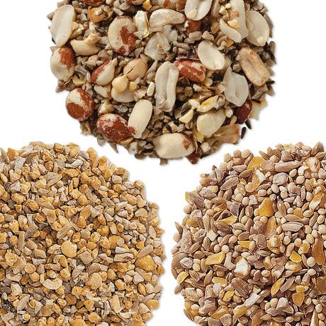 Close-up of Duncraft Garden Friendly Wild Bird Seed Sampler, Set of 3, showcasing a blend of seeds designed to attract songbirds without leaving waste.