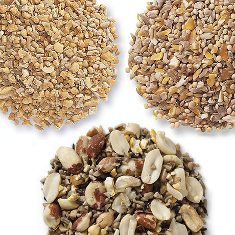 Duncraft Garden Friendly Wild Bird Seed Sampler, Set of 3, featuring a close-up of various premium no-waste seeds for attracting songbirds.