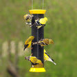 Droll Yankees Metal Finch Sock bird feeder with yellow finches feeding on diamond-shaped metal mesh openings, designed to attract more birds and hold 1 lb of Nyjer® seed.