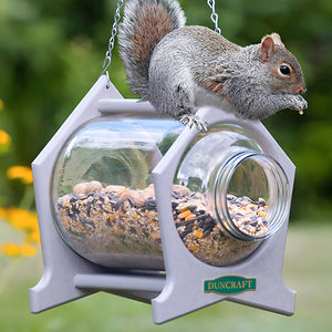 Duncraft Hanging Squirrel Jar Feeder: A squirrel inside a jar feeder made of durable recycled plastic, designed to divert squirrels from bird feeders.