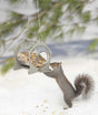 Duncraft Hanging Squirrel Jar Feeder: Squirrel reaching into a large glass jar feeder with a durable chain, designed to keep bird feeders squirrel-free.