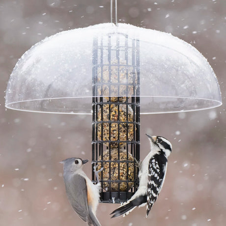 Duncraft Protected Seed Ball Feeder with birds clinging and feeding, featuring a clear dome and built-in clinging space for seed or suet balls.