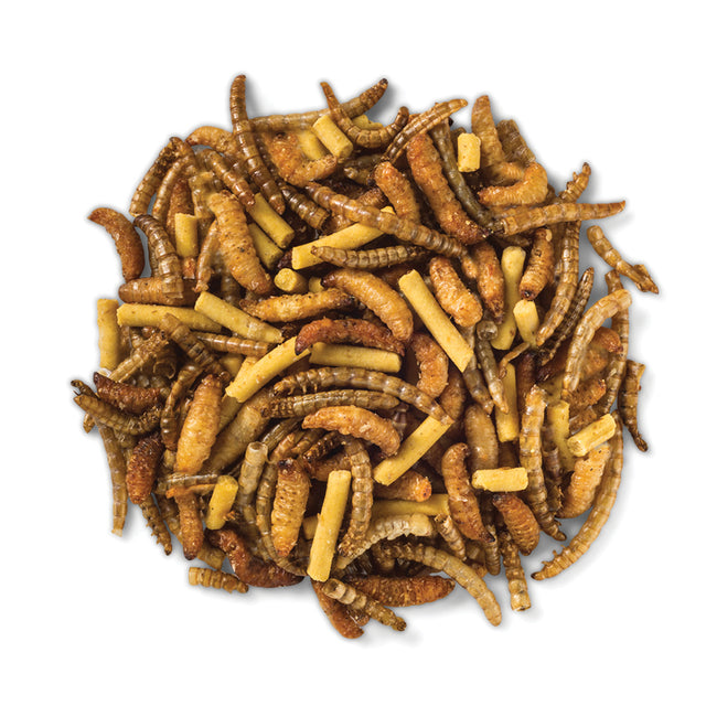 Duncraft High Protein Trail Mix Wild Bird Food: close-up of a pile of roasted waxworms, mealworms, and insect suet pellets.