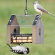 Duncraft Sheltered Stained Suet Feeder, featuring a white pine build with a clear acrylic top, hanging loop, and a suet cake holder, used by a bird.