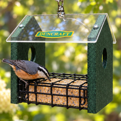 Duncraft Sheltered Stained Suet Feeder, featuring a green recycled plastic build with a clear acrylic top, hanging loop, and a suet cake holder, used by a bird in a blurred green background. 