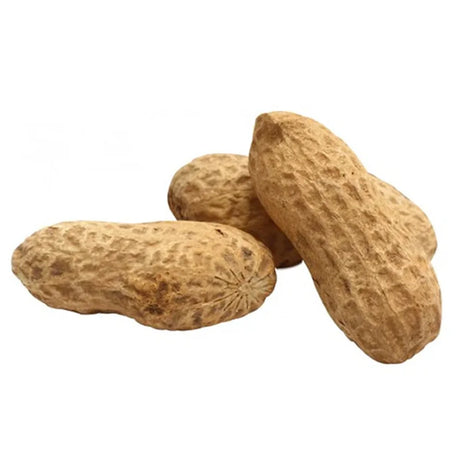 Brown's Natural Unsalted Whole Peanuts Wild Bird Food, 2-lb bag, featuring whole peanuts in shells, ideal for attracting woodpeckers and jays to backyard feeders.