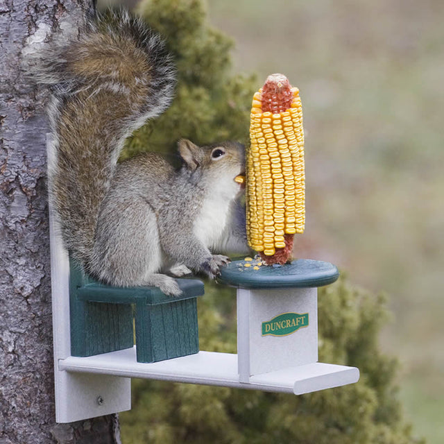 Eco-Squirrel Table & Chair Feeder with a squirrel enjoying corn. Features a durable, eco-friendly design with pre-drilled mounting holes and includes screws.