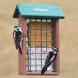 Duncraft Eco-Strong Mesh Feeder with two birds feeding, featuring a sturdy design for suet cakes, peanuts, and nesting materials. Perfect for year-round birdwatching.