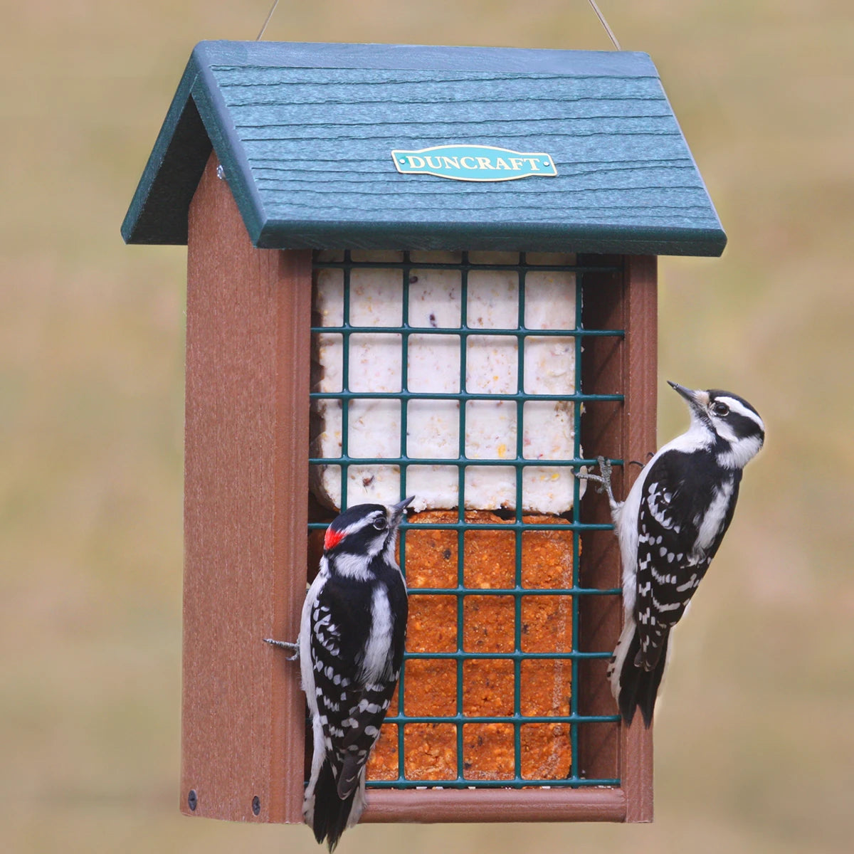 Duncraft Eco-Strong Double Delight Feeder: Two woodpeckers on a durable, green and brown mesh feeder, suitable for suet, peanuts, and nesting materials. Easy top filling.