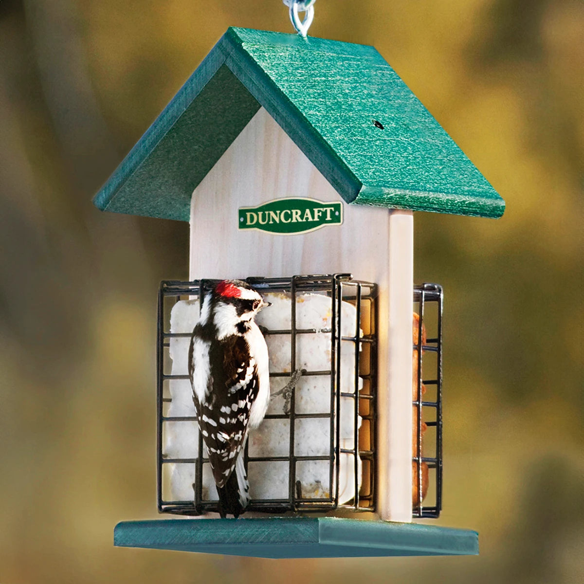 Duncraft 2-Sided Suet Chalet featuring a woodpecker perched on a green-roofed feeder with suet baskets made of white pine and recycled plastic.