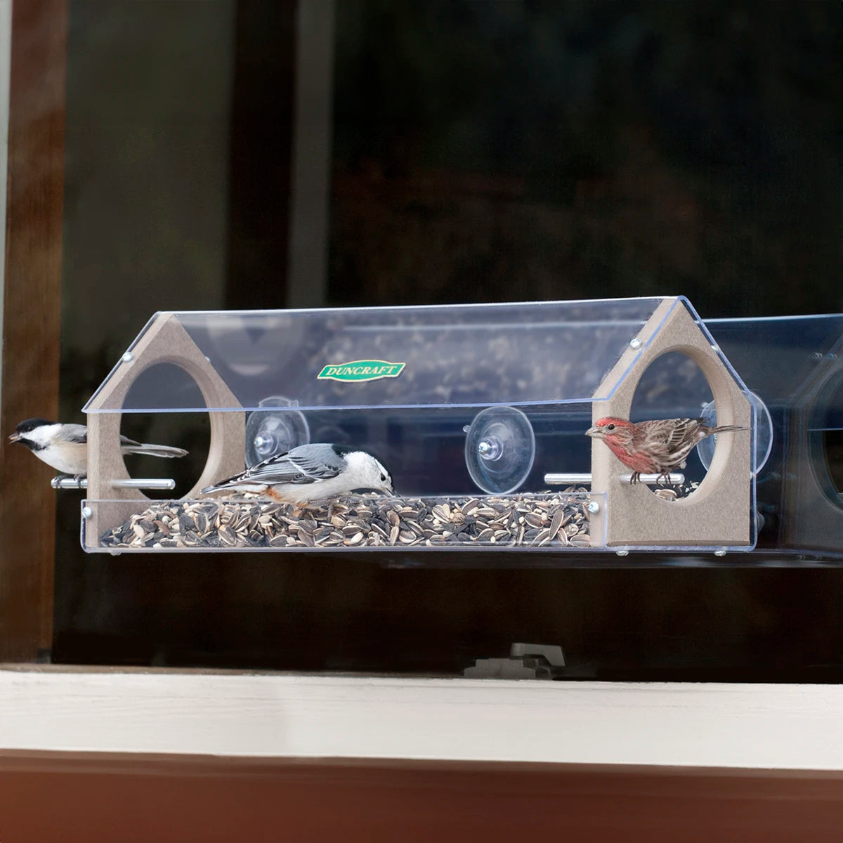 Duncraft Clearview Window Feeder attached to a window with three suction cups, featuring two side entry holes and perches for birds.