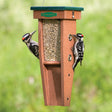 Eco-Strong Woodpecker Feeder with grooved perches, two clearview panels, and four feeding ports, shown with woodpeckers feeding on sunflower seeds.