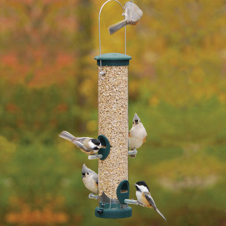 Aspects Spruce Tube Feeder with birds, showcasing its metal build, four feeding ports, and clear plastic tube for easy seed level viewing.