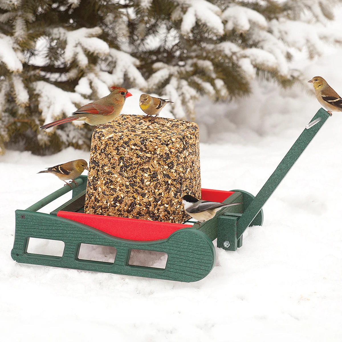 Duncraft Sleigh Seed Block Feeder with birds perched on a handcrafted sleigh-shaped feeder, designed for winter feeding with multiple perches and durable recycled plastic.