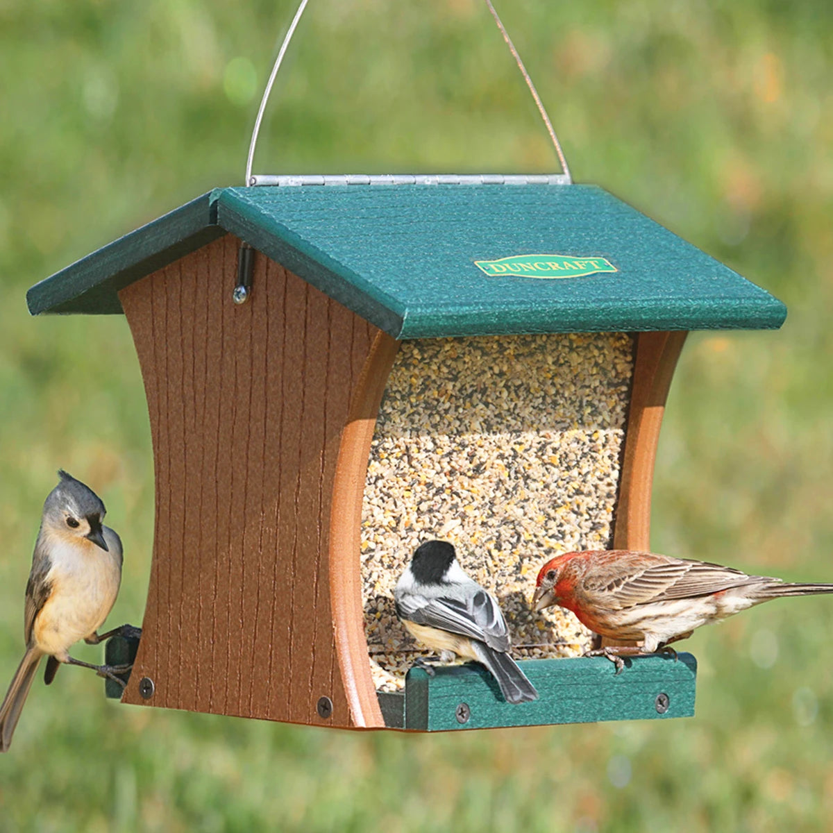 Eco-Strong Hanging Feeder with birds perching and feeding, made from eco-friendly recycled plastic; side panels dispense seed onto tray.