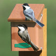 Eco-Chickadee Bird House with two birds perched on it, showcasing durable design and ventilation slots for comfortable nesting.