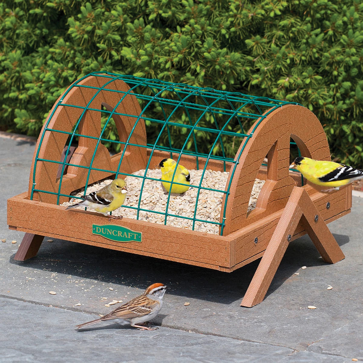 Duncraft Eco-Strong Haven Platform: A green cage with small songbirds, featuring metal mesh drainage and 1-1/2 inch wire caging.