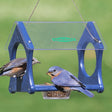 Duncraft Bluebird Delight Feeder with two bluebirds eating from it, featuring side entry holes and a clear plastic dish for easy filling and cleaning.