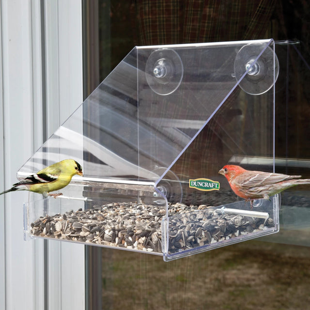 8 Window Awning Feeder with birds on the tray, attached to a window by suction cups, featuring a protective roof and clear acrylic design.