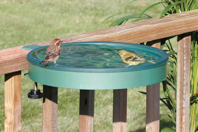 Bird bath with two birds perched on the edge, featuring a 14 basin, clamp or screw mount, and easy-clean removable dish.