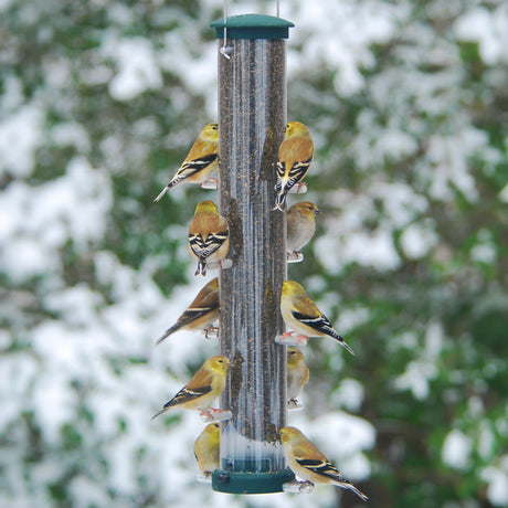 Aspects Spruce Finch Tube Feeder, 2 Sizes to Choose, showing finches feeding from a sturdy metal tube feeder with multiple ports.