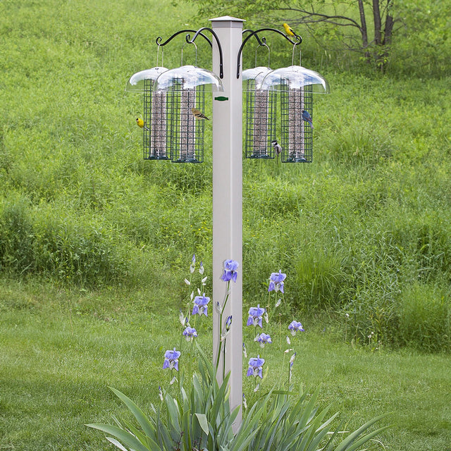 Duncraft Masterpiece 4 Arm 84 Station with bird feeders on a pole, surrounded by purple flowers, attracting multiple birds.