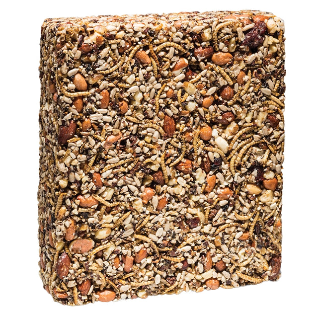 Bugs, Nuts, & Fruit Block Large 26 oz. seed cake, featuring a blend of mealworms, pecans, sunflower hearts, and cherries, in a square, compressed block.