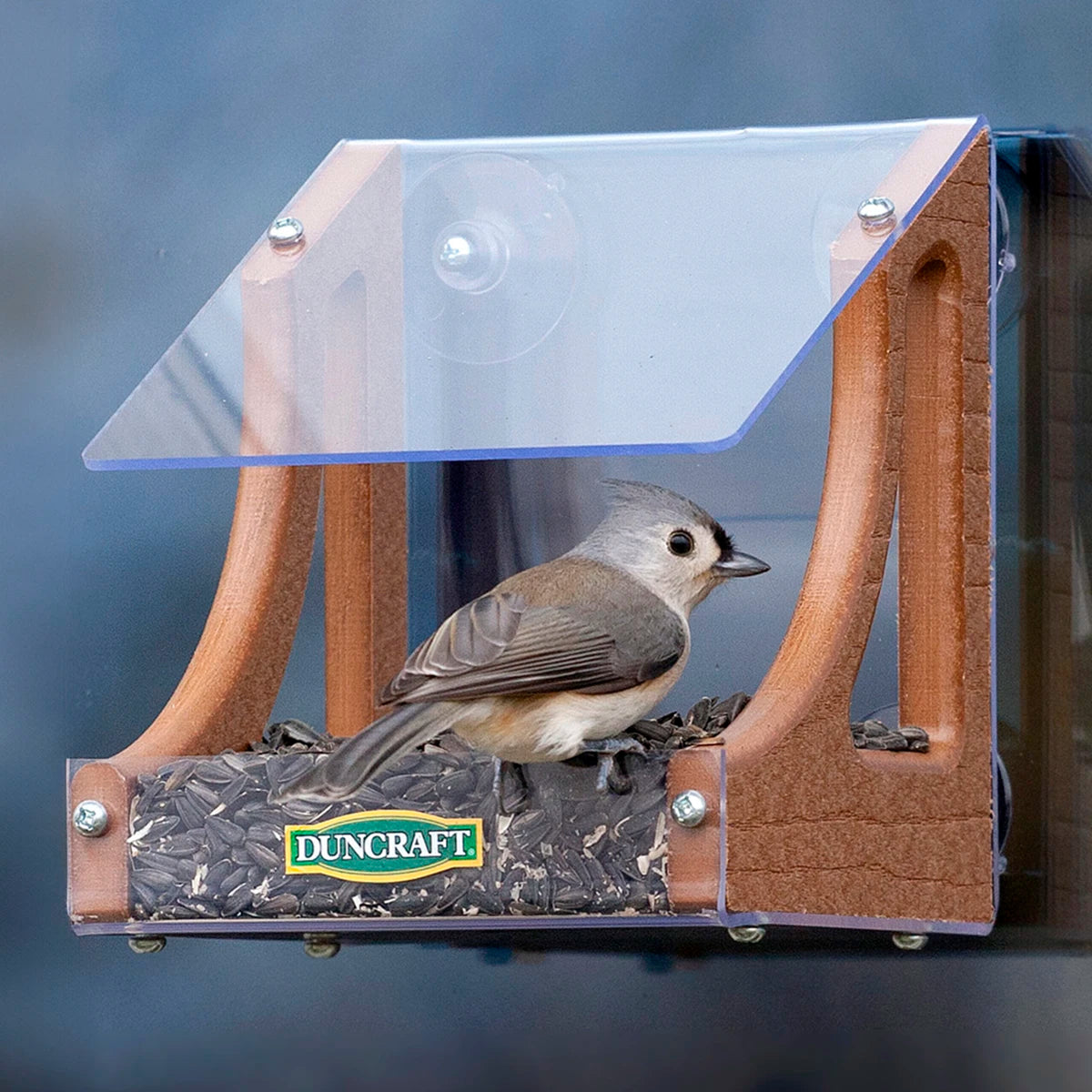 Duncraft Eco-Classic Window Feeder with a bird perched on the clear seed tray, featuring a sloped roof and drainage, attached to a window.