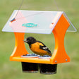 Duncraft Eco-Jelly Oriole Feeder with two side-by-side jars for serving different jellies. Features decorative hourglass-shaped sides, made from UV-stabilized polycarbonate and recycled plastic.