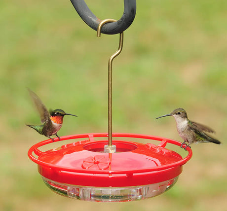 Aspects HighView Mini Feeder with three feeding stations, shown attracting hummingbirds. Features raised ports, brass hanging hook, and embossed nectar recipe for easy maintenance.