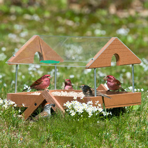 Duncraft Clearview Roof Ground Platform Bird Feeder with birds feeding, featuring a clear plastic roof and metal mesh drainage.