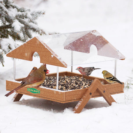 Duncraft Clearview Roof Ground Platform Bird Feeder with metal mesh drainage, seen covered in snow and attracting small birds, perfect for ground-feeding species.