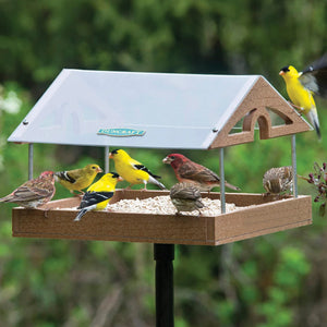 Duncraft Pavilion Platform Post Feeder featuring a group of birds feeding on a large mesh platform under a protective acrylic roof, mounted on a sectional pole.