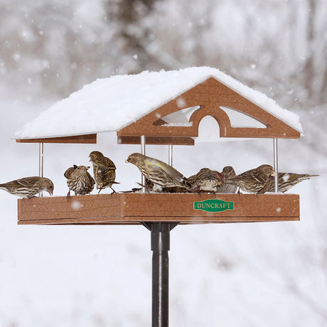 Duncraft Pavilion Platform Post Feeder with a group of birds feeding, clear acrylic roof, and included sectional pole, shown in winter with snow.