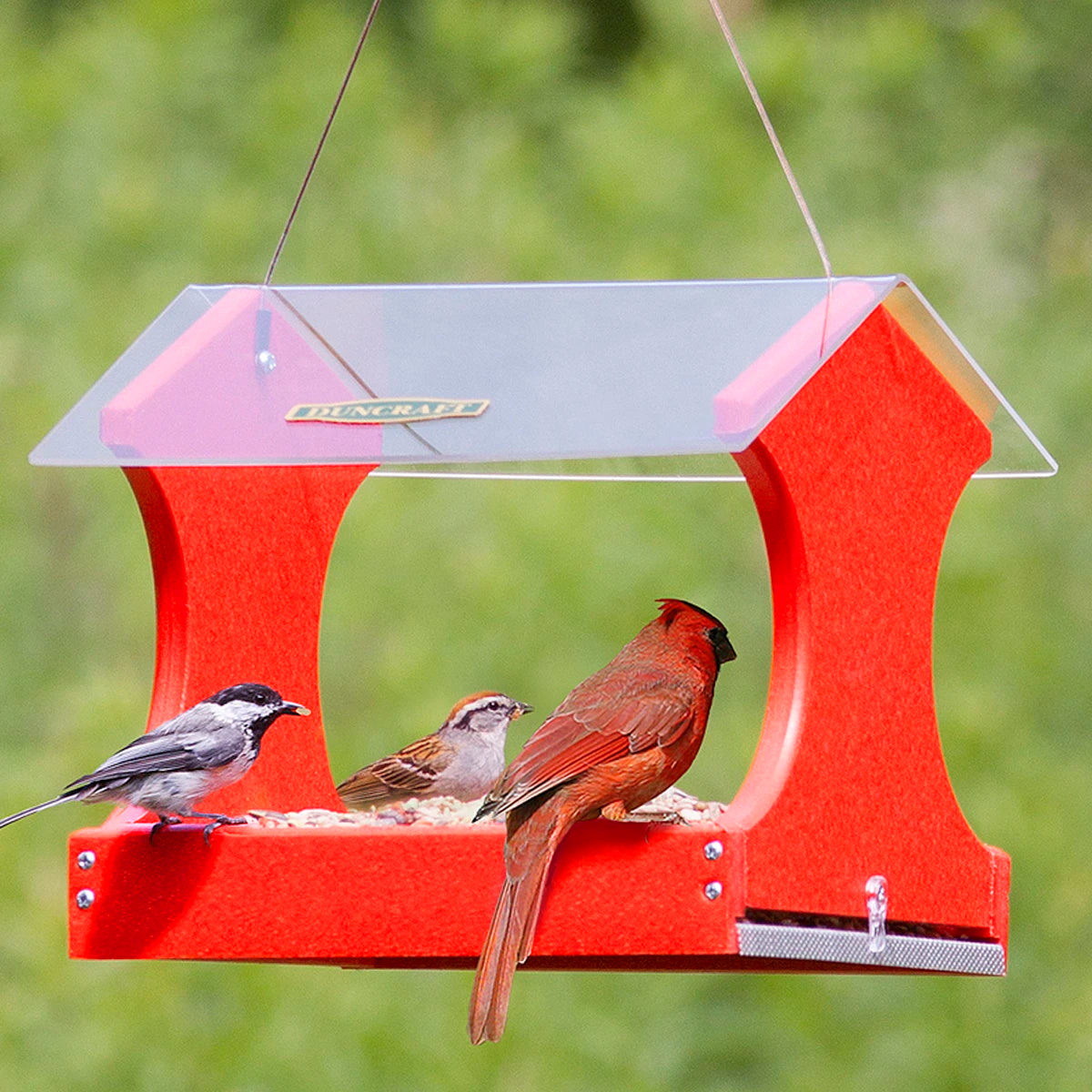 Duncraft Classic Cardinal Platform Feeder with birds perched and feeding, featuring a transparent roof and perforated tray for drainage, crafted from red recycled plastic.