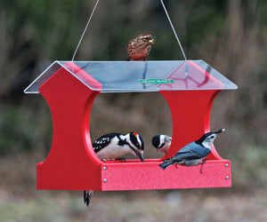 Duncraft Classic Cardinal Platform Feeder with birds gathered on a bird feeder, featuring a transparent roof and perforated aluminum tray for easy cleaning.