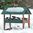 Duncraft Eco-Strong Ground Tray Platform Feeder with birds perching and feeding, featuring mesh tray and fly-through openings, surrounded by snow.