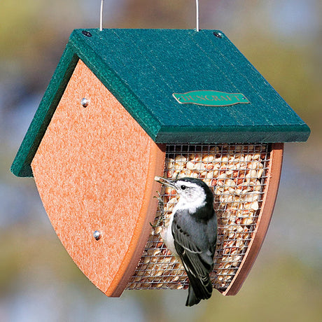 Duncraft Eco-Friendly Acorn Mesh Feeder with a bird clinging to the wire mesh, designed for small birds to feed easily.