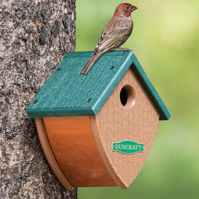 Eco-Friendly Acorn House: Bird perched on a handcrafted, recycled plastic birdhouse with a copper base, featuring a 1-1/8 inch entry hole for nesting.