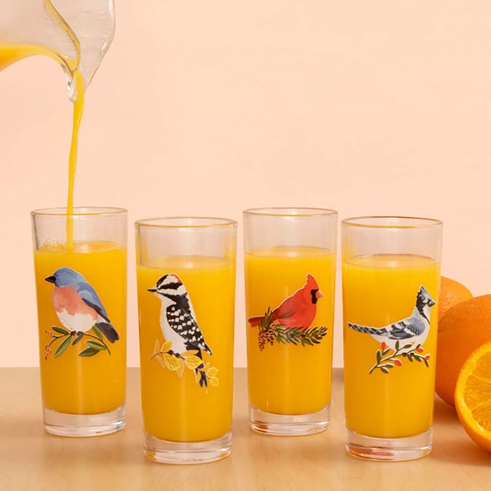 Wild Birds Tall Juice Glass Set featuring four glasses filled with orange juice, each adorned with a distinct hand-painted bird motif.