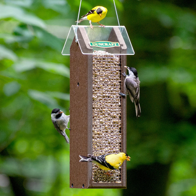 Duncraft Classic Sunflower Feeder with wire mesh design, birds feeding on it. Weather-resistant, holds 2-1/4 lbs. seed, easy to clean, copper penny roof.