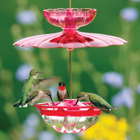 Aspects HummBlossom Feeder Set with three feeding stations, ant moat, and weather dome, attracting hummingbirds at a feeder, visible in an outdoor setting.