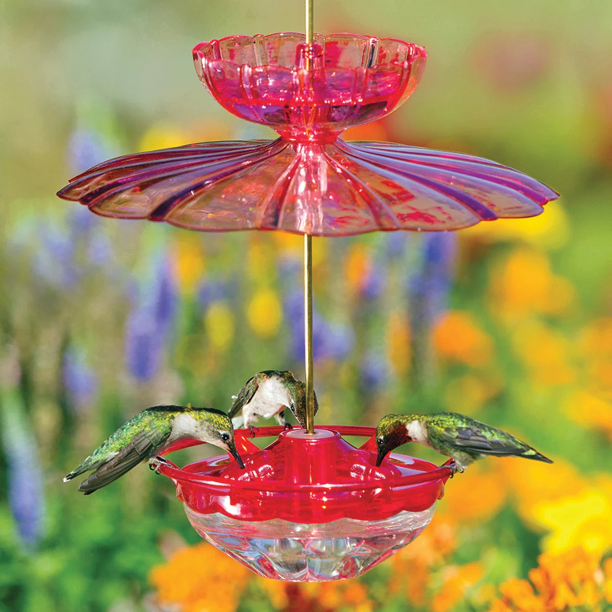 Aspects HummBlossom Feeder Set with hummingbirds feeding, featuring an ant moat, weather dome, and detachable components for easy cleaning and maintenance.