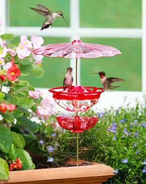 Aspects HummBlossom Feeder Set with two hummingbirds feeding, featuring ant moat, weather dome, and easy-detach design for cleaning.