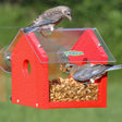 Duncraft Classic Bluebird Window Feeder with mealworms, featuring clearview plastic sides and roof, two suction cups, and red recycled plastic base.